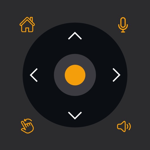 Universal TV Remote Control