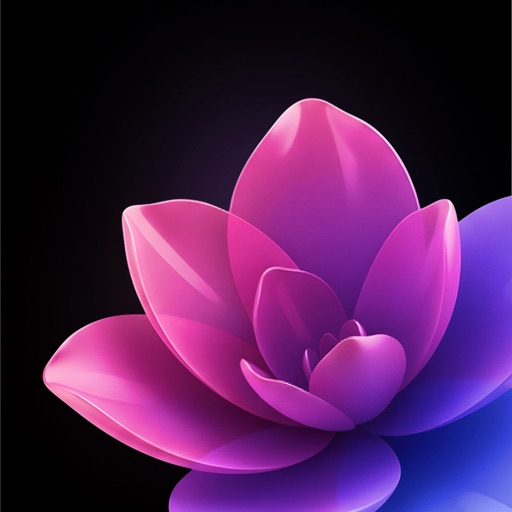 Euforia - Your Place of Relief