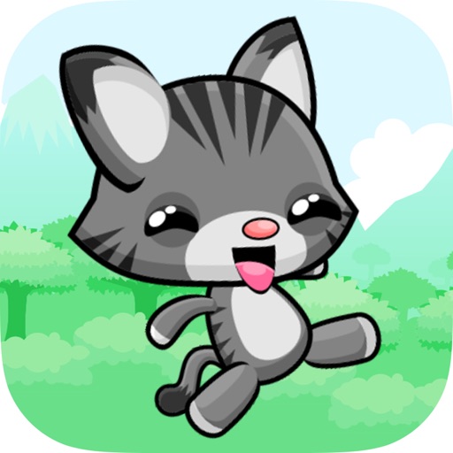 Kitten Runner